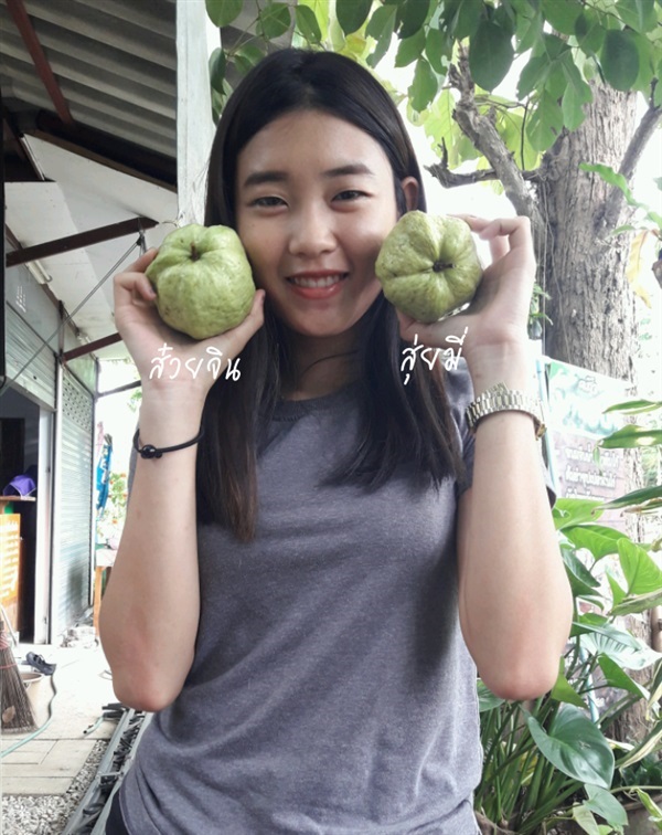 ฝรั่งไต้หวันสุ่ยมี่ | สวนคุณระย้า - สวรรคโลก สุโขทัย