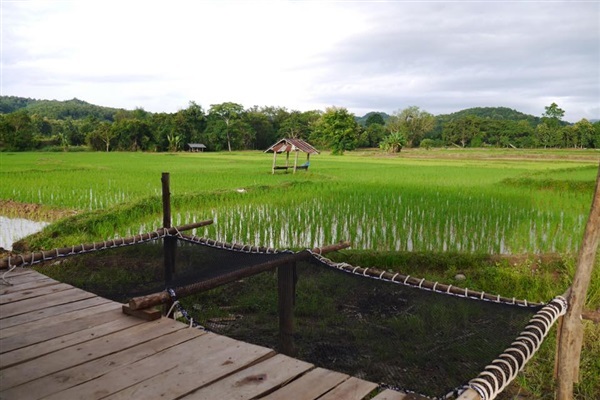 เปลตาข่าย ตาข่ายเชือก ตาข่ายนอน ตาข่ายขึงนอนเล่น | สวนศรีนาม่าน - สันติสุข น่าน