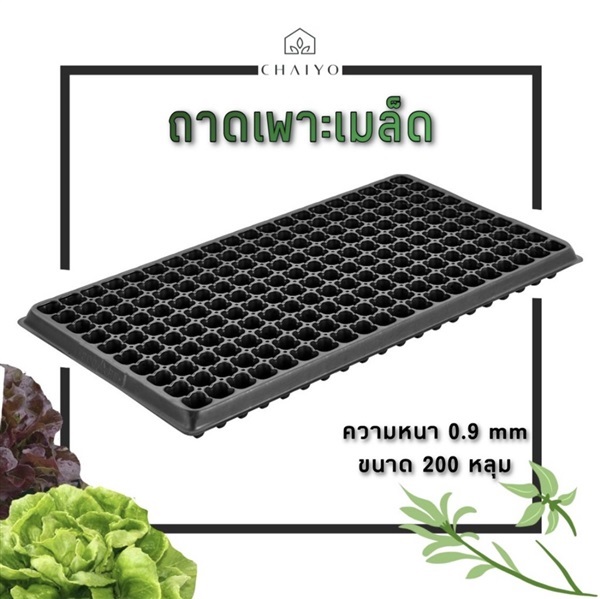 ถาดเพาะเมล็ด 50/105/200หลุม หนา 0.9 mm(Seeding tray) | บริษัท ชัยโยฟาร์ม จำกัด - บางแค กรุงเทพมหานคร