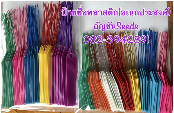 แผ่นป้ายพลาสติก อเนกประสงค์ หลากสี | อัญชัน seeds - สวนหลวง กรุงเทพมหานคร