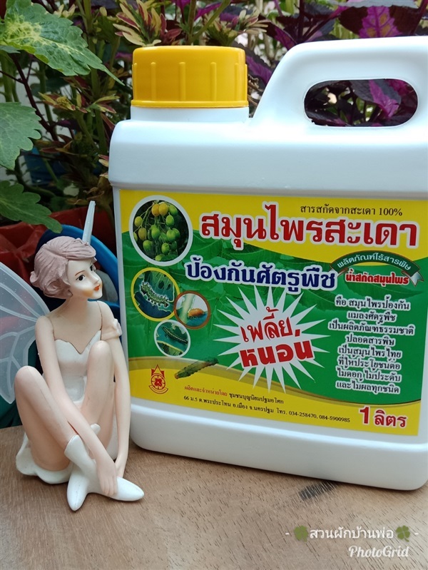 สารสกัดสมุนไพรสะเดา 100% | สวนผักบ้านพ่อ - เมืองสมุทรปราการ สมุทรปราการ