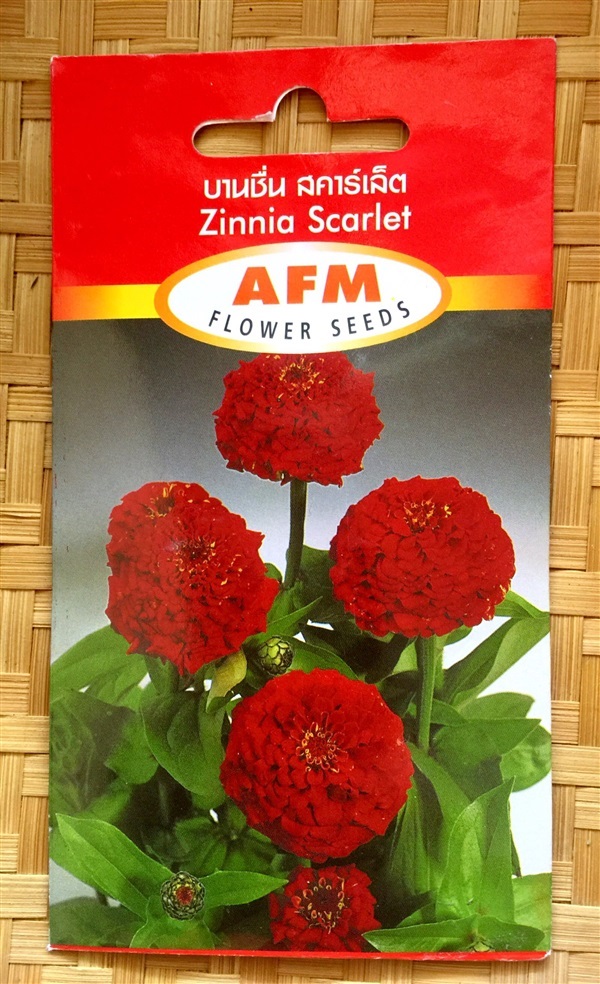 เมล็ดพันธุ์ดอกบานชื่น (Zinnia) สีแดง | นานาภัณฑ์ - เมืองน่าน น่าน