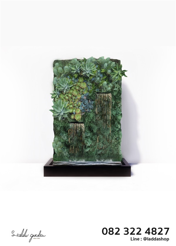 ม่านน้ำตกกำแพงหินพืชพันธุ์กระบองเพชร (แคคตัส) สำเร็จรูป | laddagarden - ลาดหลุมแก้ว ปทุมธานี