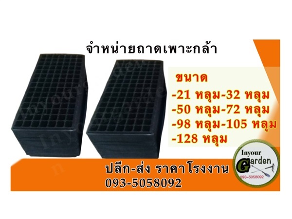 ถาดเพาะกล้า | inyourgarden - เมืองสกลนคร สกลนคร