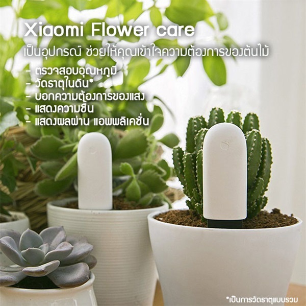 Xiaomi Flower Care เครื่องตรวจสอบความชื้น,ดิน,แสง,อุณหภูมิ | higrow -  กรุงเทพมหานคร