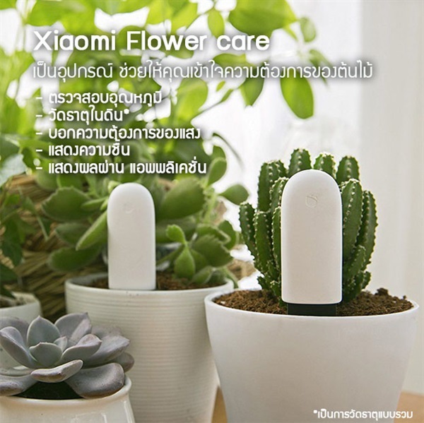 Xiaomi Flower Care เครื่องตรวจสอบความชื้น,ดิน,แสง,อุณหภูมิ