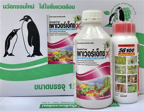 ยาเชื้อราพาวเวอร์X & VC100 | บริษัท ทูเอสโพรเจกต์ จำกัด - วัฒนา กรุงเทพมหานคร