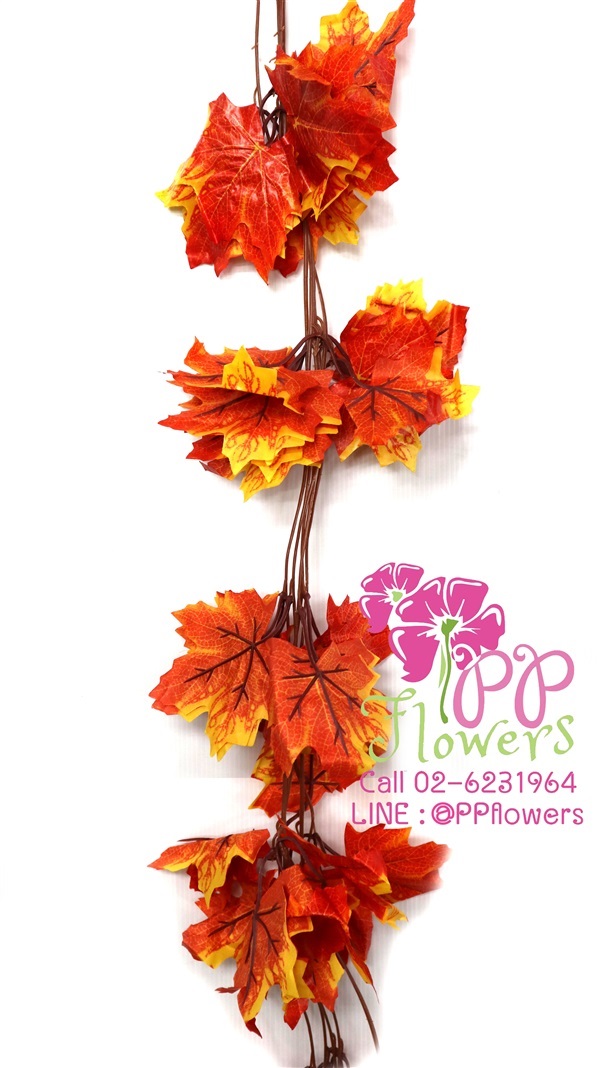 เถาวัลย์เมเปิ้ลส้ม 5 เส้น | PP Flowers  - สัมพันธวงศ์ กรุงเทพมหานคร