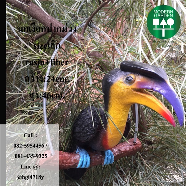 นกเงือกSizeเล็ก ปากสีพิเศษ | Modern Garden Thailand - บางพลัด กรุงเทพมหานคร