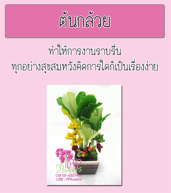 ต้นกล้วย | PP Flowers  - สัมพันธวงศ์ กรุงเทพมหานคร