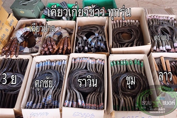 เคียว | รวมแบงค์การเกษตร - เมืองสกลนคร สกลนคร