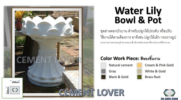 Water Lily | CEMENT INDUSTRIAL - วัฒนา กรุงเทพมหานคร