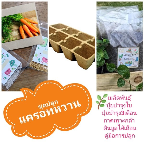 ชุดปลูกแครอทหวาน | ลิตเติ้ลพาร์ค Little Park - บางกรวย นนทบุรี