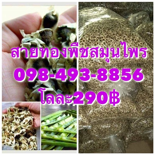 เม็ดมะรุมแห้ง โลละ290฿ สินค้าใหม่