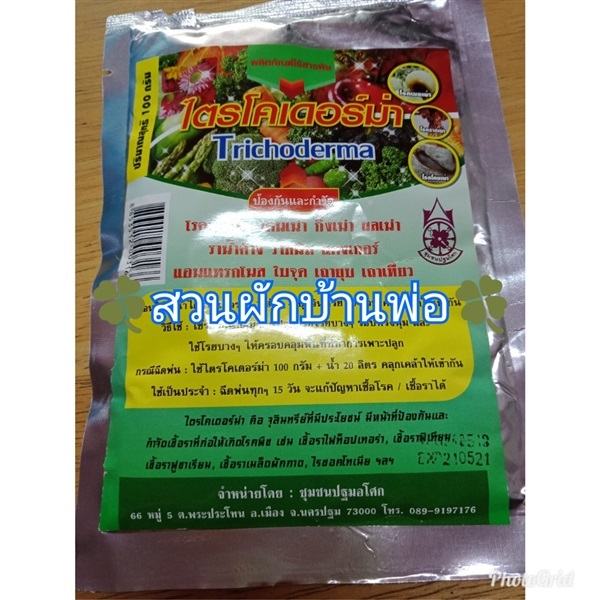 ไตรโคเดอร์ม่า Trichoderma