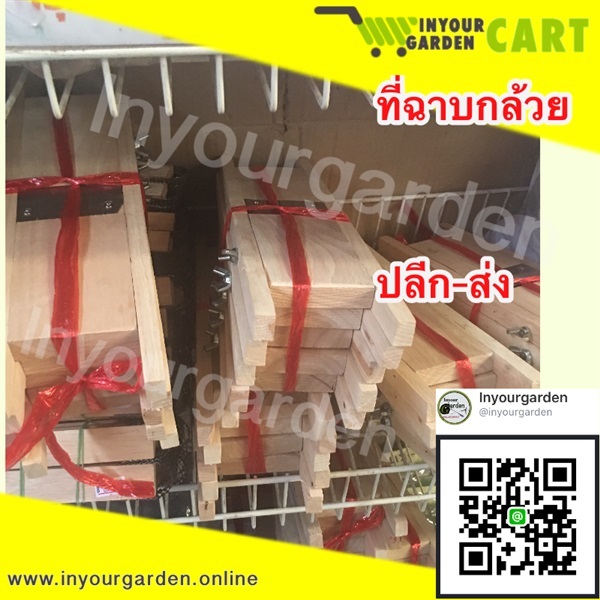 ที่สไลด์กล้วยฉาบ | inyourgarden - เมืองสกลนคร สกลนคร