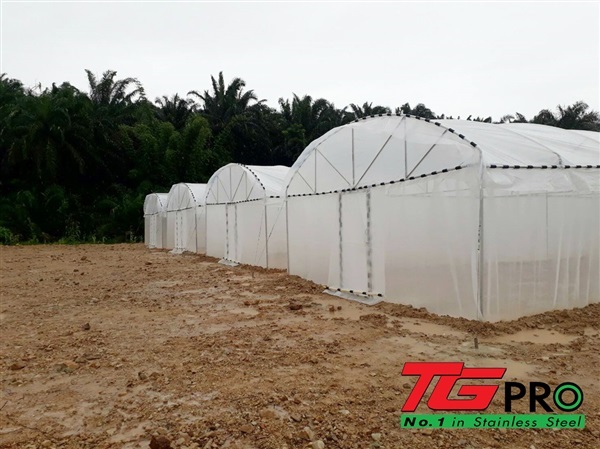 โรงเรือนสำเร็จรูปสเตนเลสTgpro-Greenhouse Size 3x3m.-14x42m. | บริษัท ไทย-เยอรมัน โปรดักส์ จำกัด (มหาชน) - คลองเตย กรุงเทพมหานคร