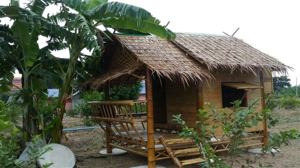 บ้านไม้ใผ่น็อคดาวน์ทรงไทย(Bamboo House)ป้องกันมอดได้ถาวร | บ้านไม้ไผ่ สวนไผ่งาม ปราจีนบุรี - ประจันตคาม ปราจีนบุรี