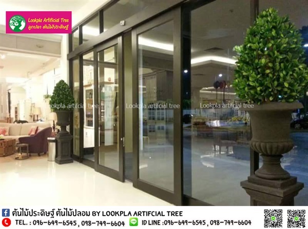 ต้นไทรอังกฤษทรงเจดีย์ ต้นไม้ปลอม ต้นไม้ประดิษฐ์ | Lookpla Artificial Tree - จตุจักร กรุงเทพมหานคร