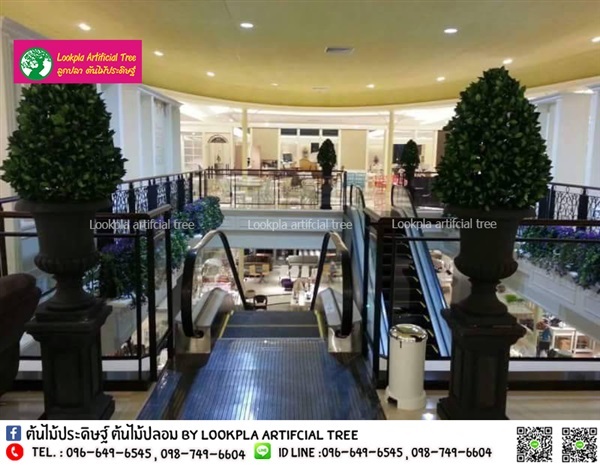 ต้นไทรอังกฤษทรงเจดีย์ ต้นไม้ปลอม ต้นไม้ประดิษฐ์ | Lookpla Artificial Tree - จตุจักร กรุงเทพมหานคร