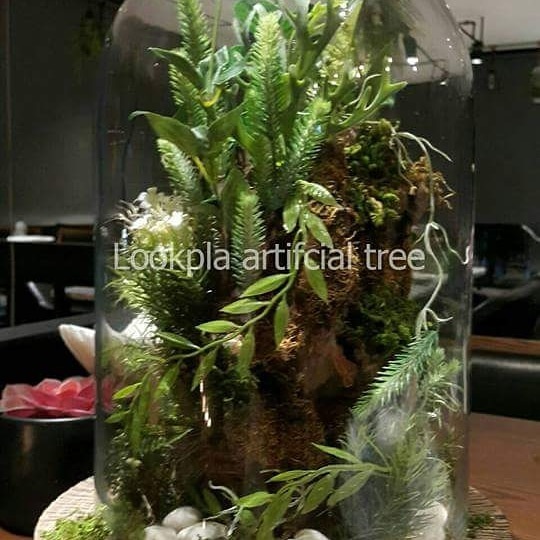 สวนโหลแก้ว ต้นไม้ปลอม ต้นไม้ประดิษฐ์ | Lookpla Artificial Tree - จตุจักร กรุงเทพมหานคร