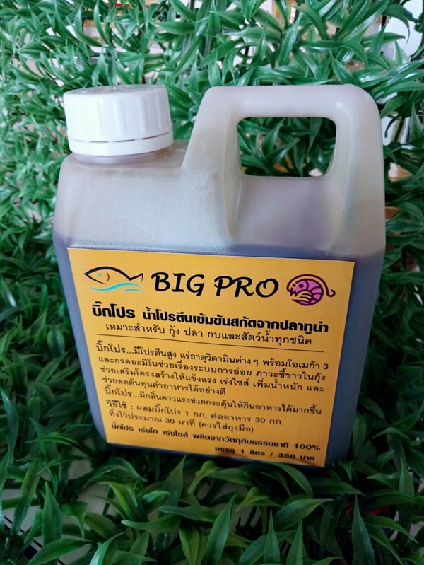 ฺBIG PRO น้ำโปรตีนเข้มข้นสกัดจากปลาทูน่า เร่งโต เร่งไซส์ | SD Farm - เมืองราชบุรี ราชบุรี