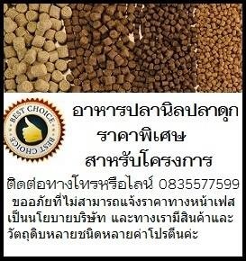 อาหารปลาสำหรับโครงการ หรืองานประมูล เกรดคุณภาพ ราคาถูก | SD Farm - เมืองราชบุรี ราชบุรี