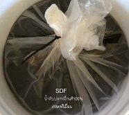 น้ำตับปลาหมึก สำหรับผสมอาหารสัตว์ | SD Farm - เมืองราชบุรี ราชบุรี