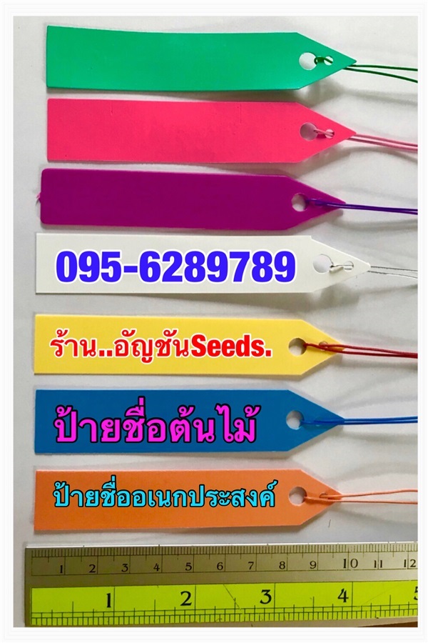 แผ่นพลาสติกป้ายชื่อ อเนกประสงค์ | อัญชัน seeds - สวนหลวง กรุงเทพมหานคร