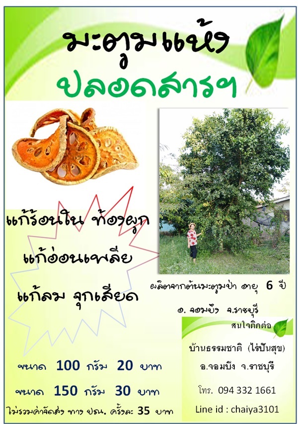 มะตูมแห้ง | บ้านธรรมชาติ (ไร่ปันสุข) - จอมบึง ราชบุรี