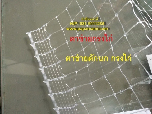 ตาข่ายกันนก ตาข่ายกรงไก่ ใส 1ม.x30ม. ใส ช่อง 6 หุน