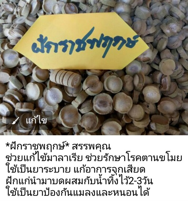 ฝักราชพฤกษ์