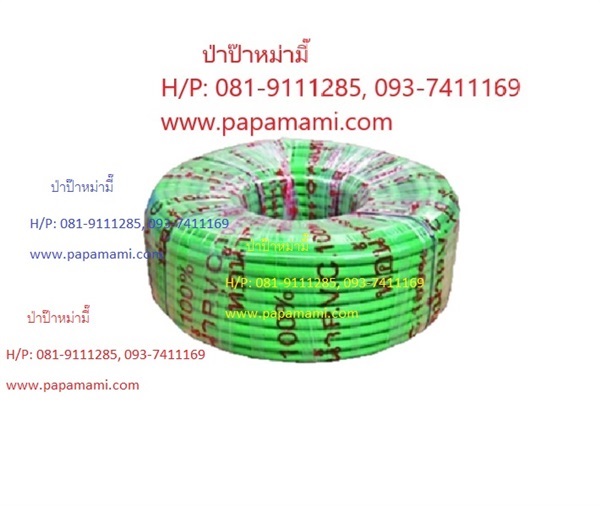 สายยางสีเขียว 2ขั้น(ในสีดำ) PVC เคลือบ UV 4หุนx100เมตรx2มม. | บ้านป่าป๊า & หม่ามี๊ - บางบัวทอง นนทบุรี