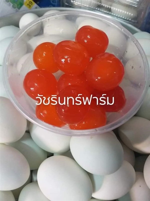 ไข่แดงเค็ม | วัชรินทร์ฟาร์ม - โนนไทย นครราชสีมา