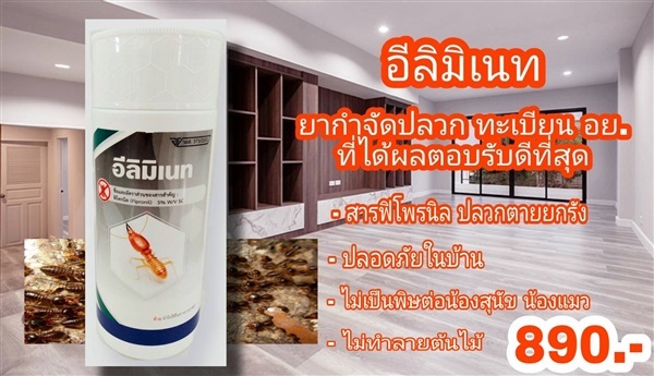 ยากำจัดปลวกอีลิมิเนท ฟิโพรนิล5% อย.ที่ลูกค้าตอบรับมากที่สุด  | ปุ๋ย ยา การันตี - วัฒนา กรุงเทพมหานคร