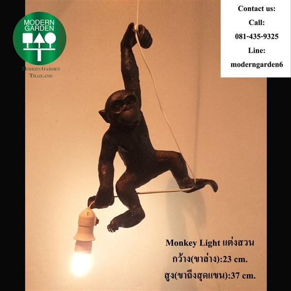 ชุด Black Monkey Light ห้อยโหนแต่งสวน งานลิขสิทธิ์ | Modern Garden Thailand - บางพลัด กรุงเทพมหานคร