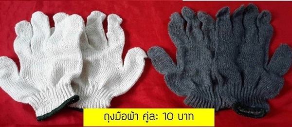ถุงมือผ้า | สุกัญญา อุปกรณ์การเกษตร - บางบัวทอง นนทบุรี