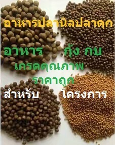 อาหารปลาราคาถูกสำหรับงานโครงการ | SD.Garden - เมืองราชบุรี ราชบุรี