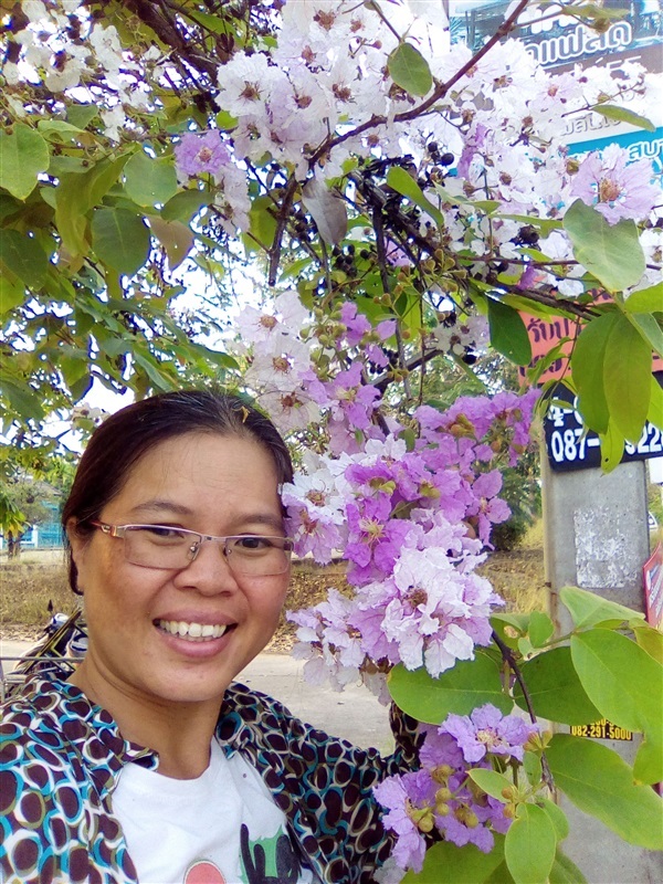 อินทนิลม่วง | เมล็ดพันธุ์ดี เกษตรวิถีไทย - เมืองระยอง ระยอง