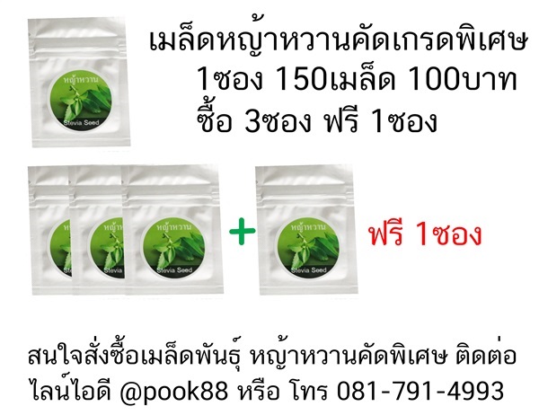 เมล็ดหญ้าหวาน Stevia Seeds (ใช้แทนน้ำตาล)