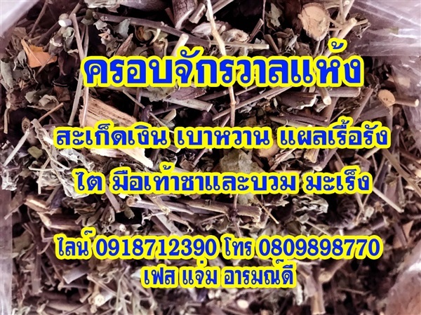 ครอบจักรวาล ตากแห้ง | สวนราชินี จ.กำแพงเพชร -  กำแพงเพชร