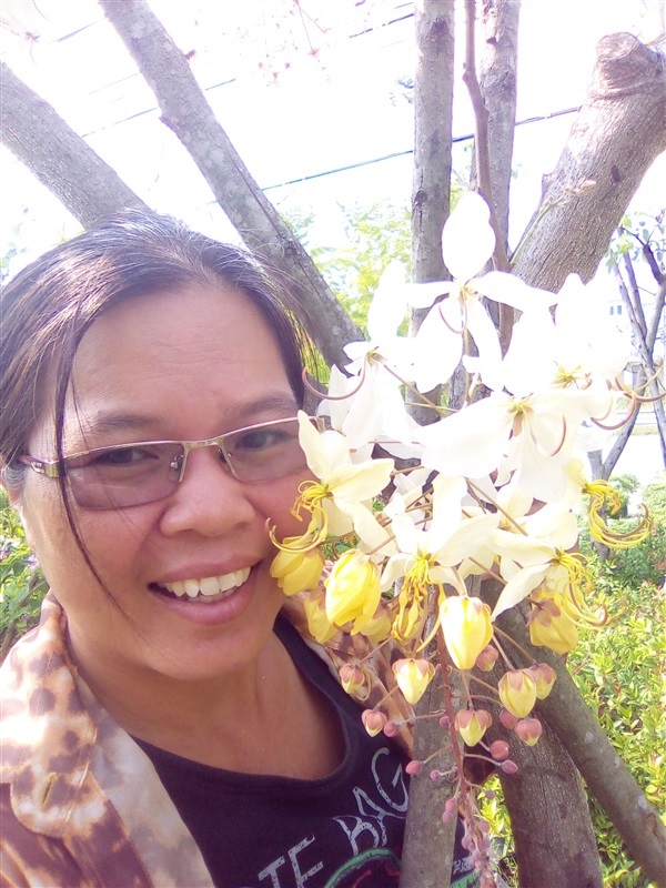 คูนขาว ดอกหอม รัตนพฤกษ | เมล็ดพันธุ์ดี เกษตรวิถีไทย - เมืองระยอง ระยอง