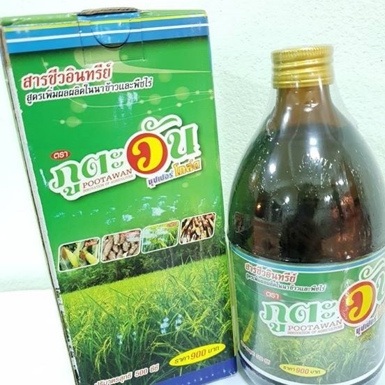 ซุปเปอร์โกล์ด - พืชล้มลุกและพืชไร่  ภูตะวัน เกษตรอินทรีย์ | PPจันทบุรี - นายายอาม จันทบุรี