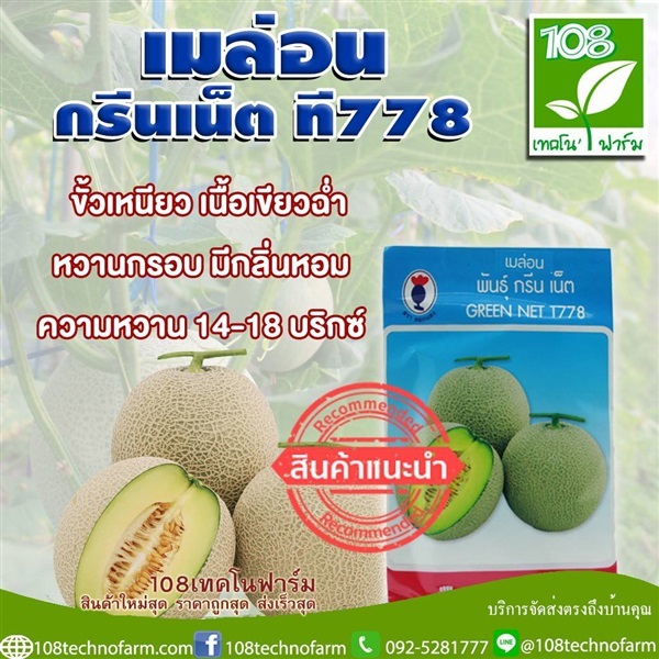 เมล่อน กรีนเนต ที778 | 108เทคโนฟาร์ม - มหาราช พระนครศรีอยุธยา