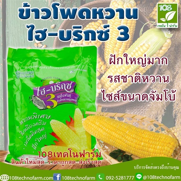 ข้าวโพดหวานไฮ-บริก 3