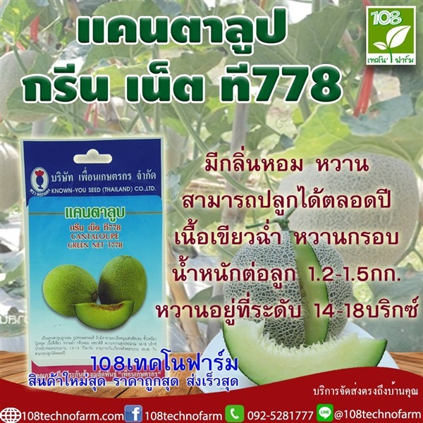 แคนตาลูป กรีน เน็ต ที778 | 108เทคโนฟาร์ม - มหาราช พระนครศรีอยุธยา