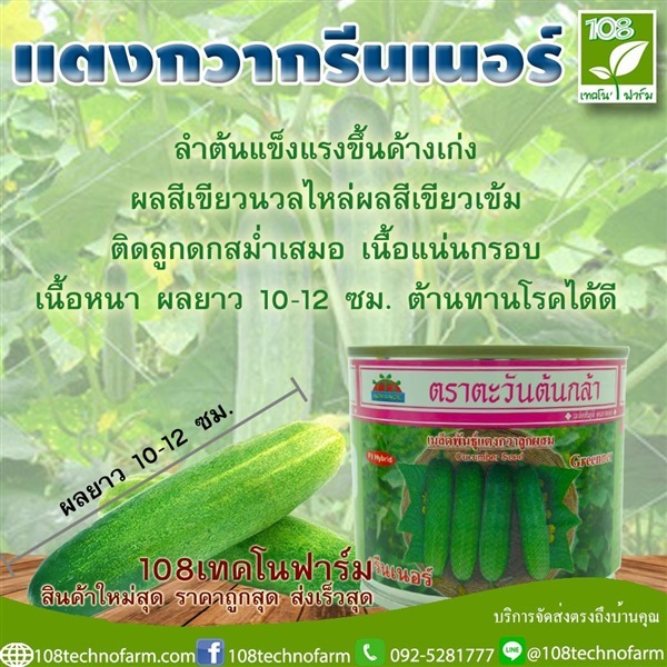 แตงกวา กรีนเนอร์ | 108เทคโนฟาร์ม - มหาราช พระนครศรีอยุธยา