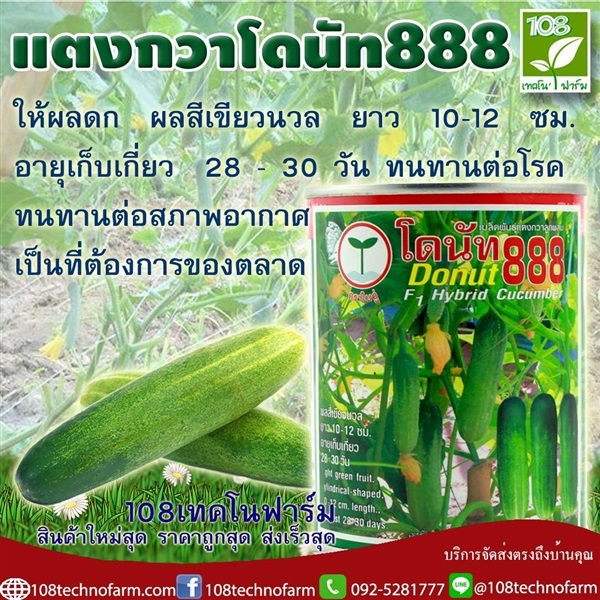 แตงกวาโดนัท888