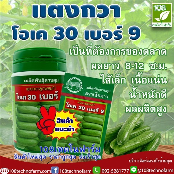 แตงกวาโอเค30 เบอร์9