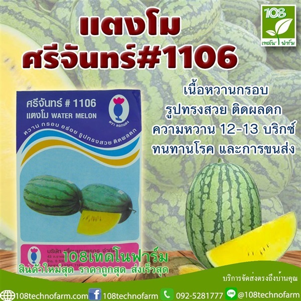 แตงโมศรีจันทร์#1106 | 108เทคโนฟาร์ม - มหาราช พระนครศรีอยุธยา